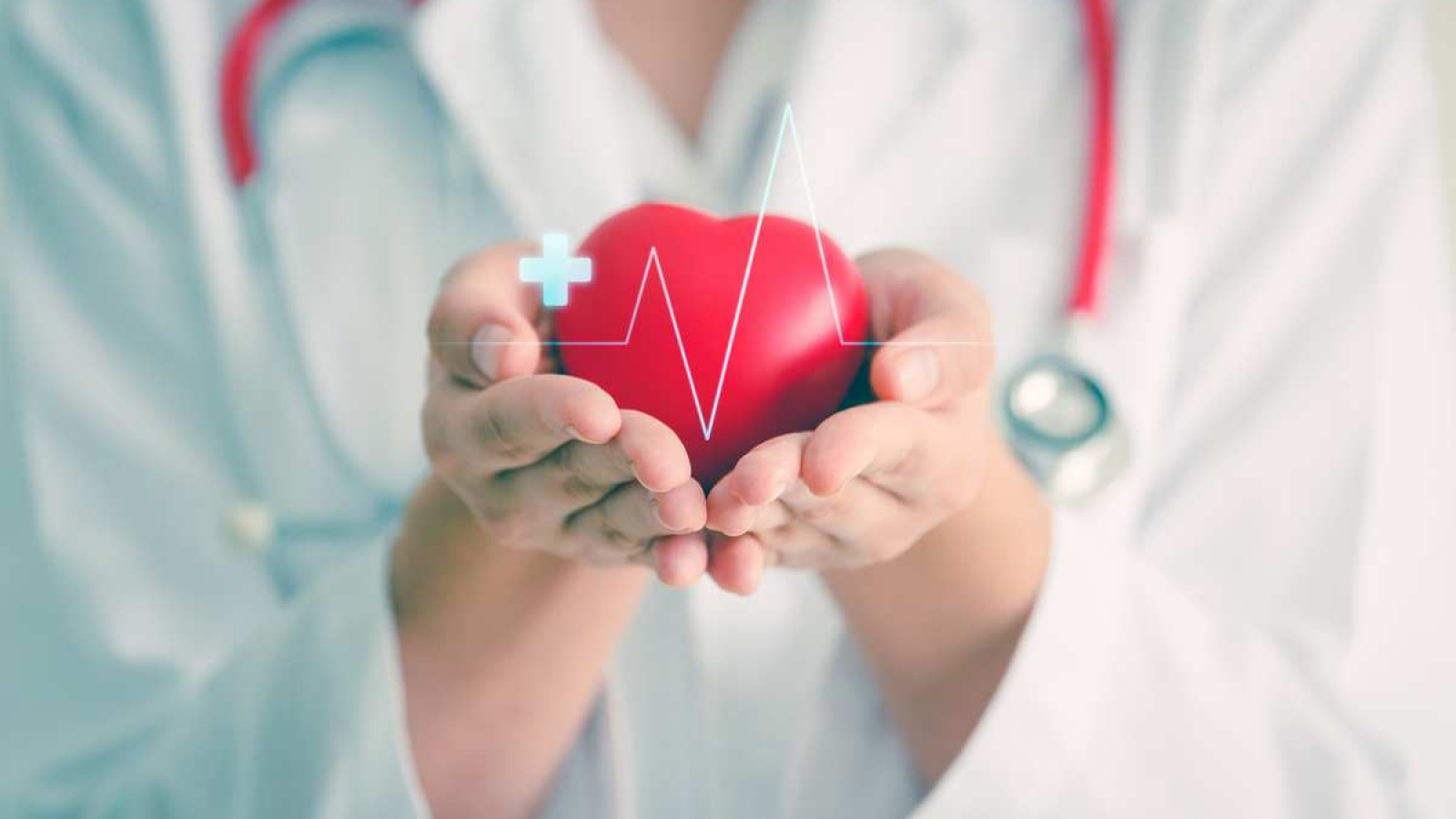 TANGO projekt Pikarlida